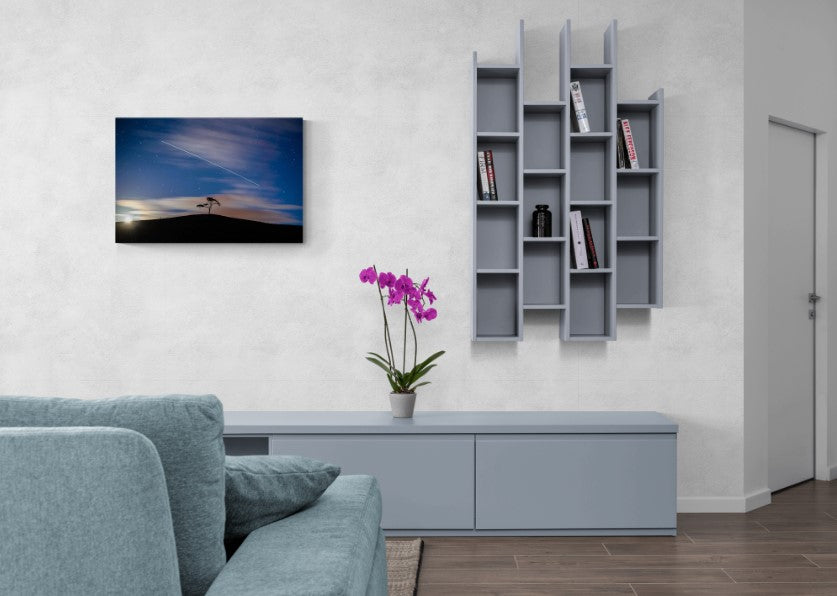 Lonely Tree, Oysterhaven