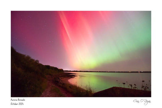 Northern Lights, Ring Strand